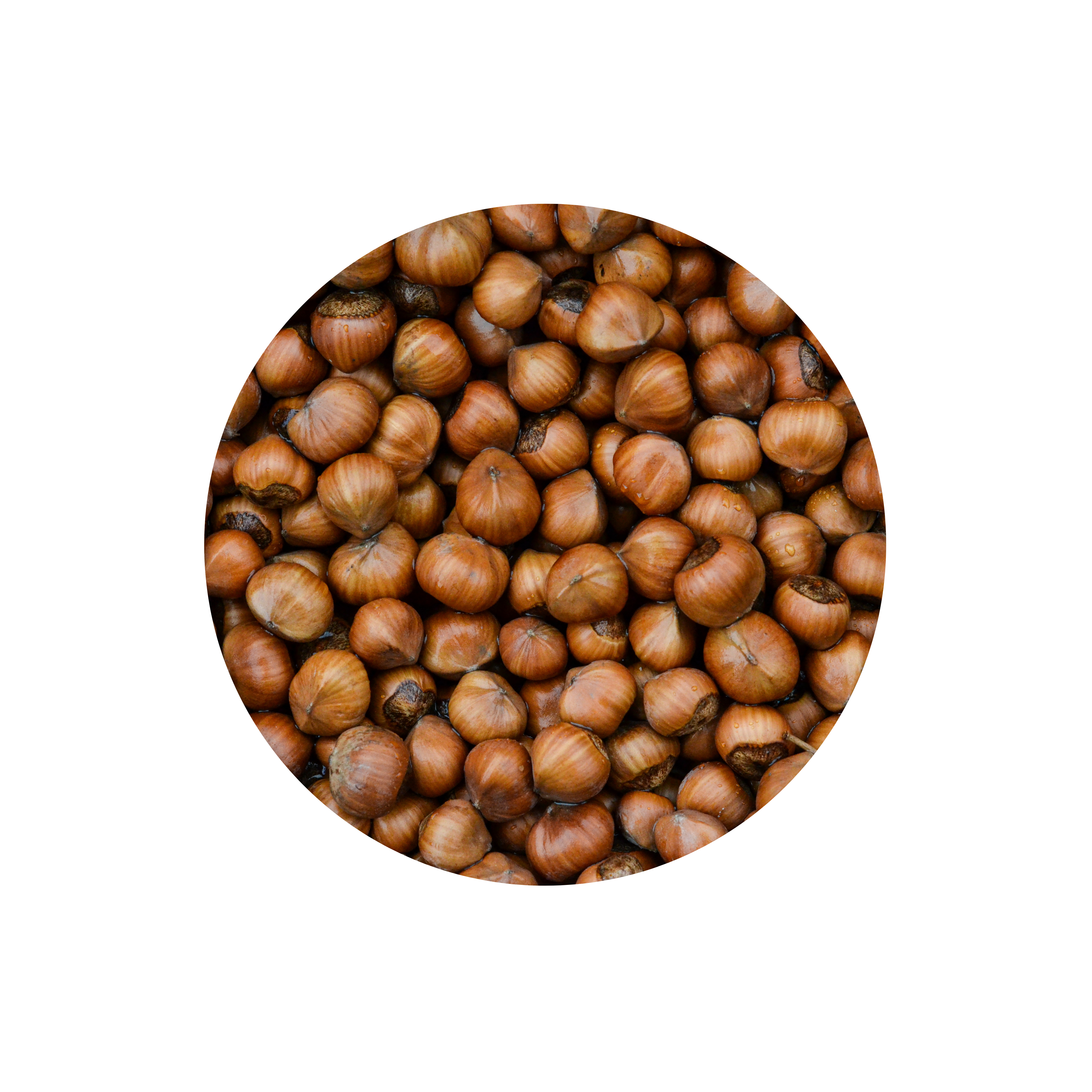 nocciole gianduia IGP piemonte